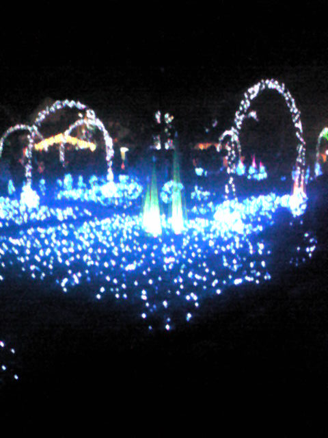 d0070007_22234812.jpg