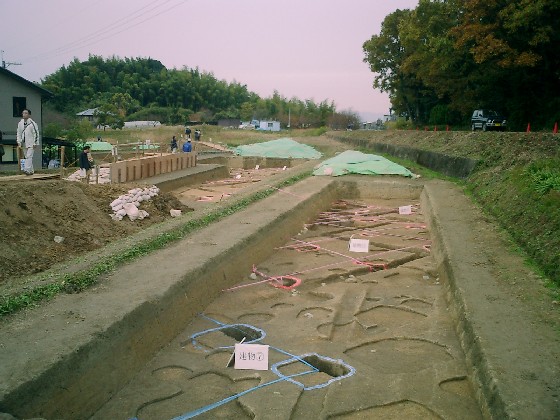 d0007913_0212713.jpg