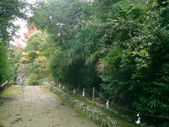 d0007913_0325175.jpg