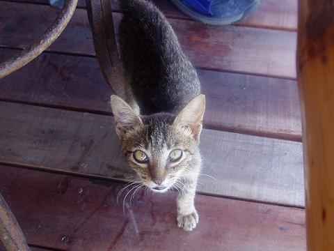 a0000014_1329767.jpg