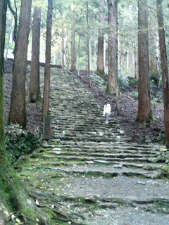 b0019820_23361995.jpg