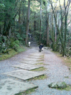 b0019820_2336917.jpg