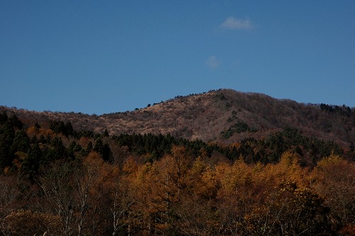 c0027027_034165.jpg