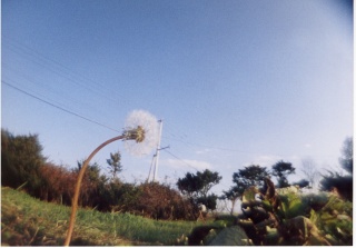 b0047734_23241956.jpg
