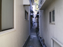 a0055835_20431593.jpg