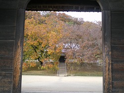 a0055835_2105149.jpg
