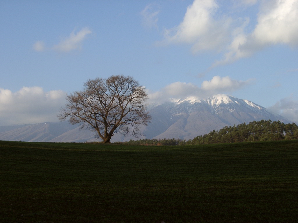 d0007735_22284589.jpg
