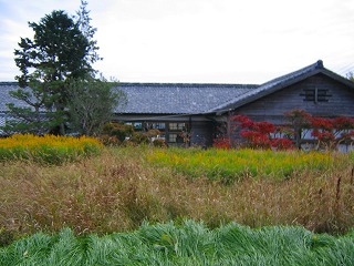 f0033836_20212161.jpg