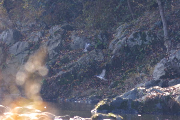 b0036743_19221657.jpg