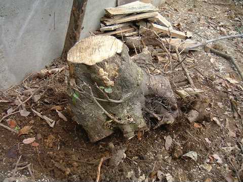 f0090444_23165063.jpg