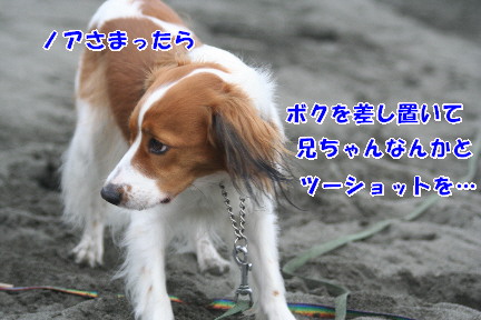 d0013149_0134057.jpg