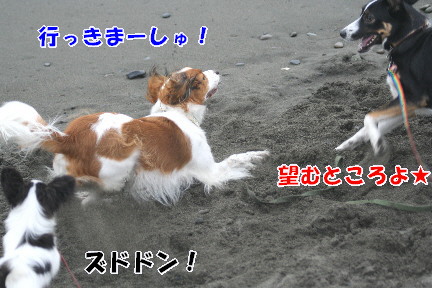 d0013149_0142621.jpg