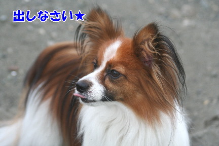 d0013149_03123.jpg