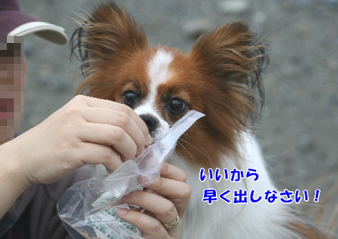 d0013149_031286.jpg