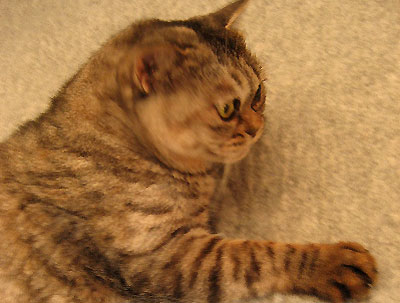 c0003752_10225155.jpg