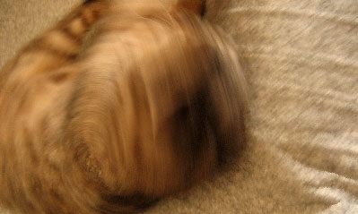 c0003752_10234342.jpg