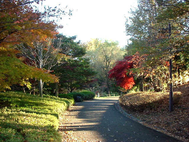 d0091754_0385894.jpg