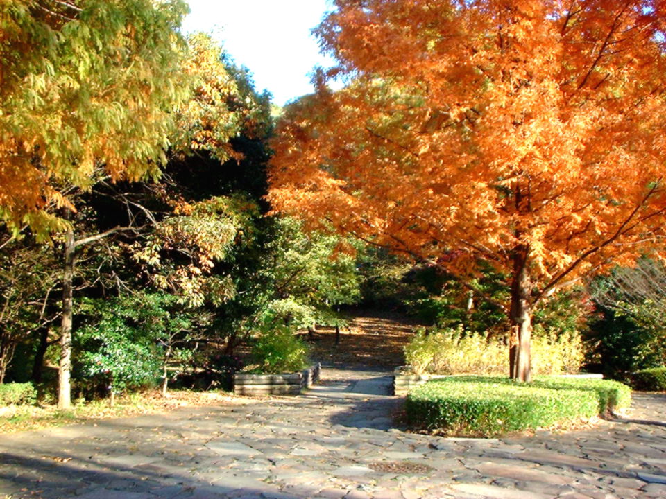 d0091754_053968.jpg
