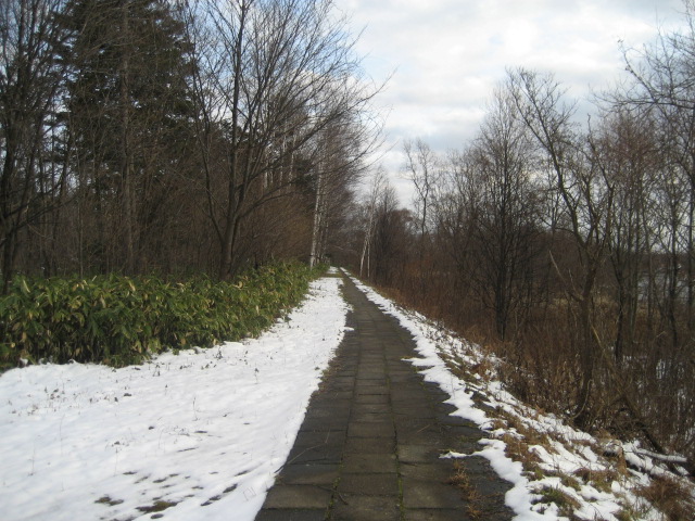 a0075455_18553231.jpg