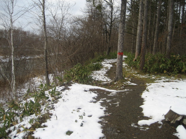 a0075455_1856196.jpg