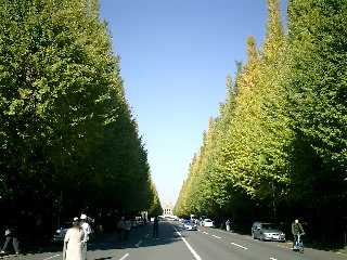 f0045956_13103178.jpg