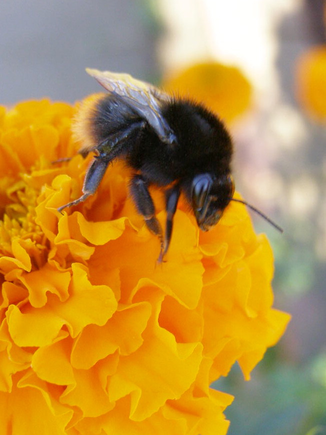 e0064158_15811100.jpg