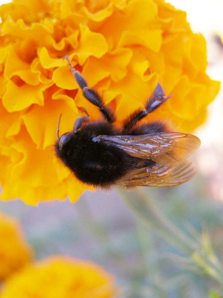 e0064158_22282.jpg