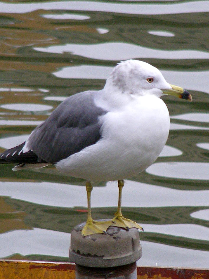 e0064158_23513519.jpg