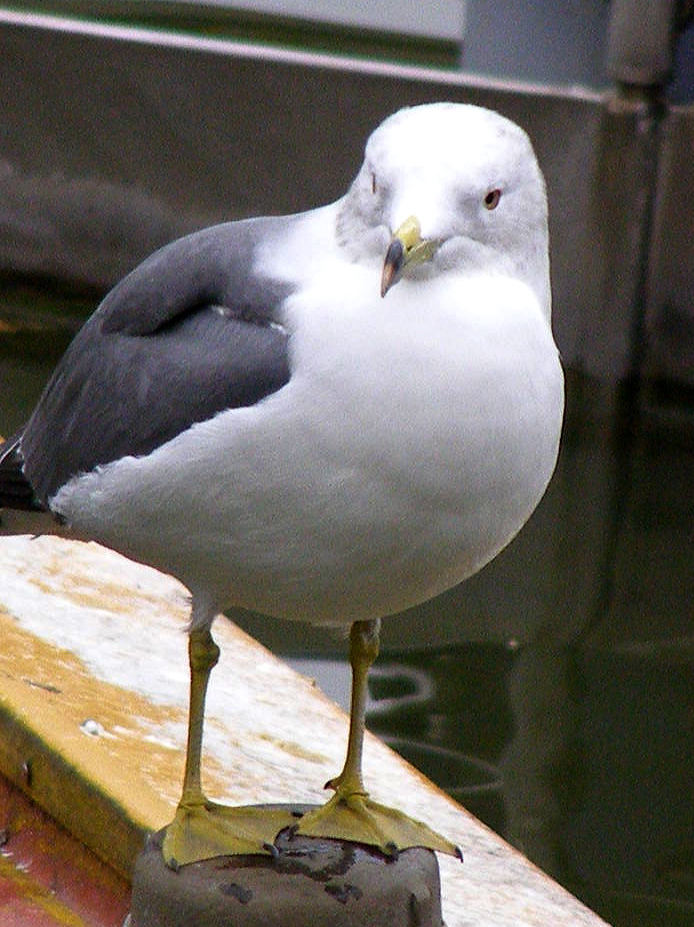 e0064158_23523230.jpg