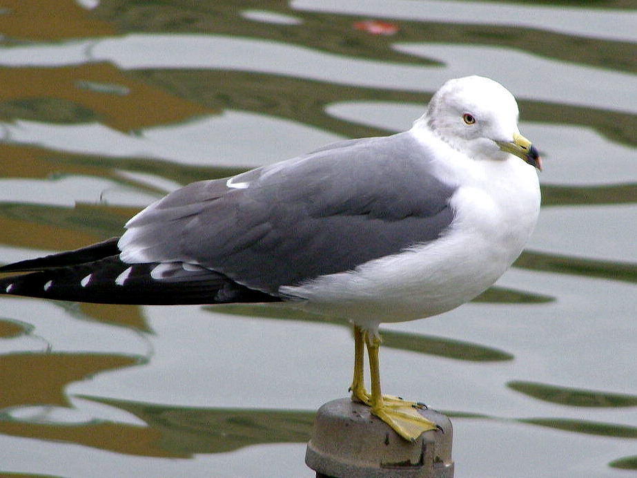 e0064158_2352854.jpg