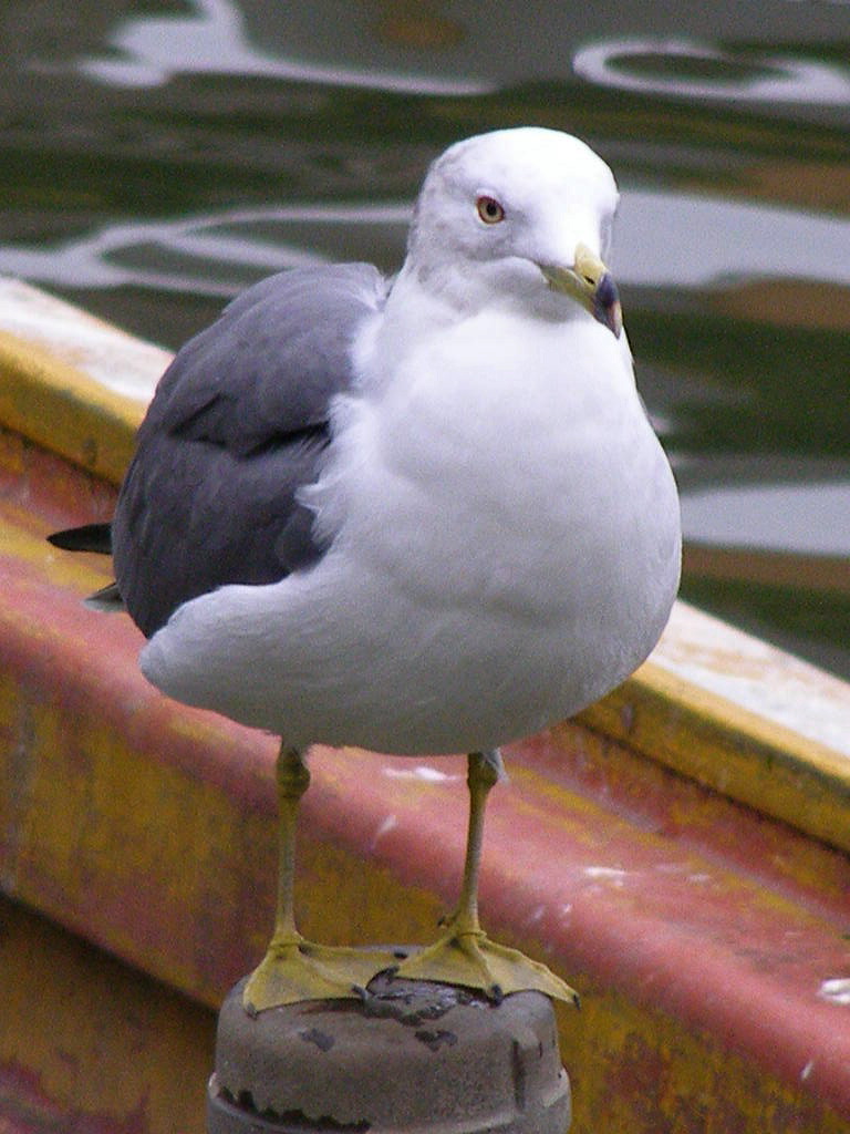e0064158_23532171.jpg