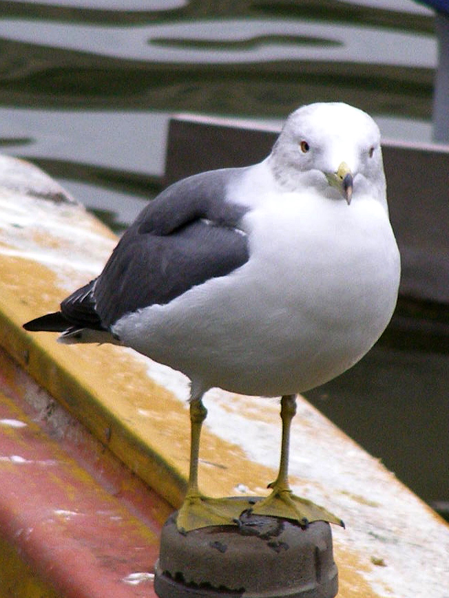 e0064158_2353521.jpg