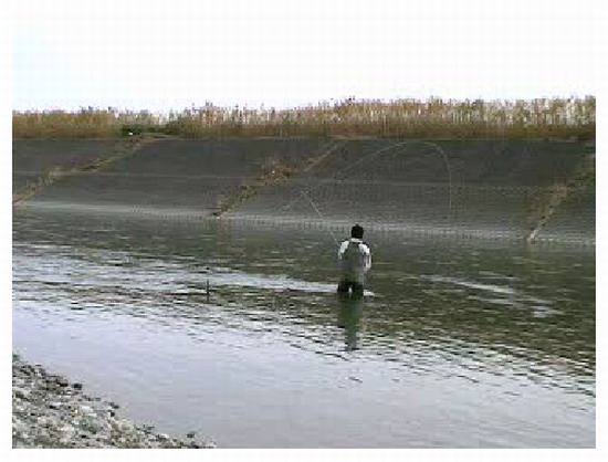 f0084561_1325649.jpg