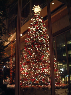 e0016164_22511253.jpg