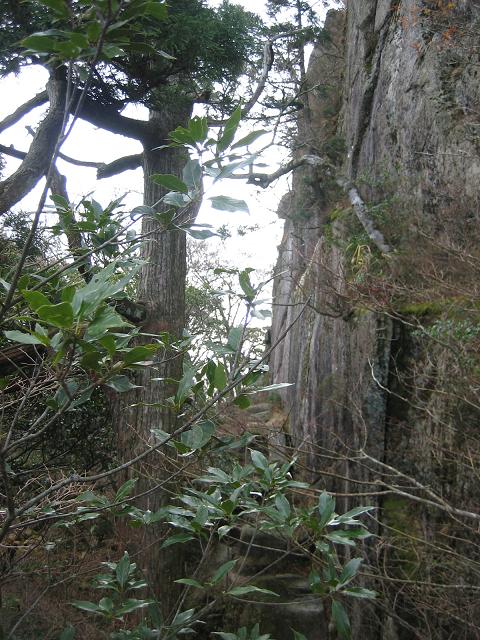 f0016066_1441411.jpg