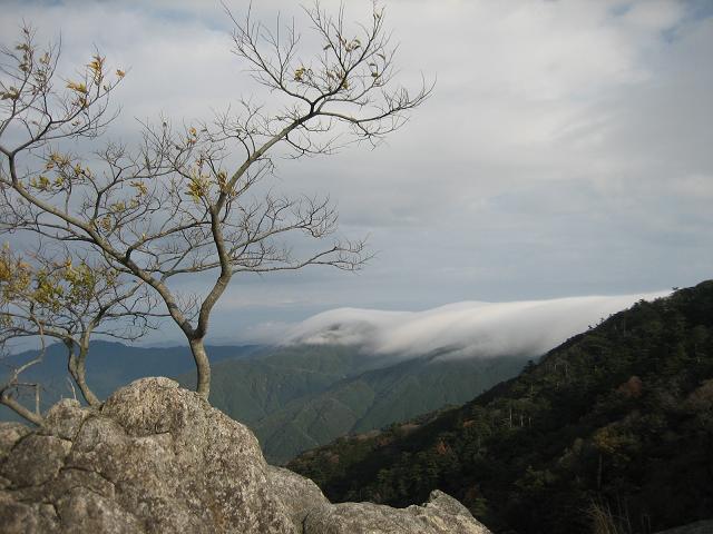f0016066_14445153.jpg