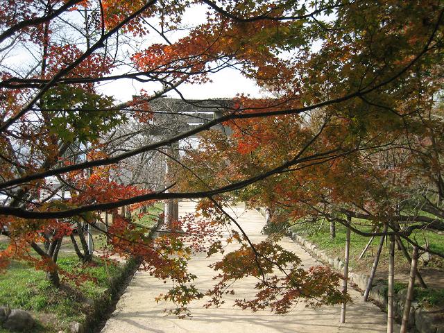 f0016066_14501220.jpg
