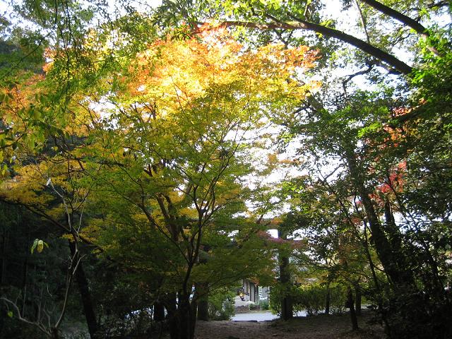 f0016066_14563884.jpg