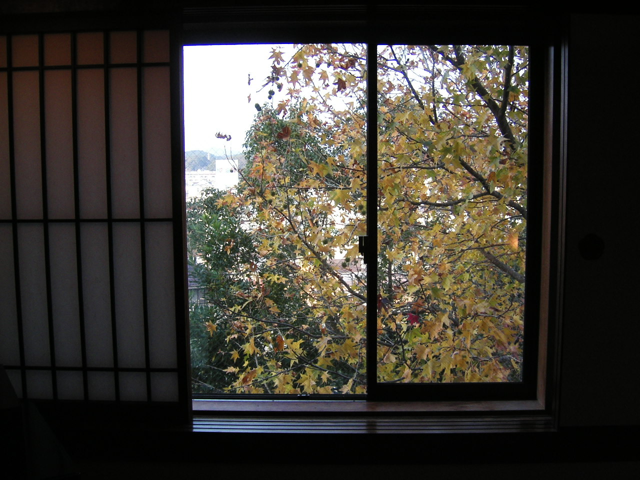 a0001668_10411353.jpg