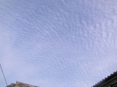 c0042869_15271968.jpg
