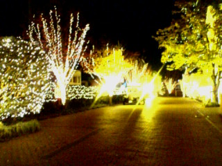e0039871_22201376.jpg