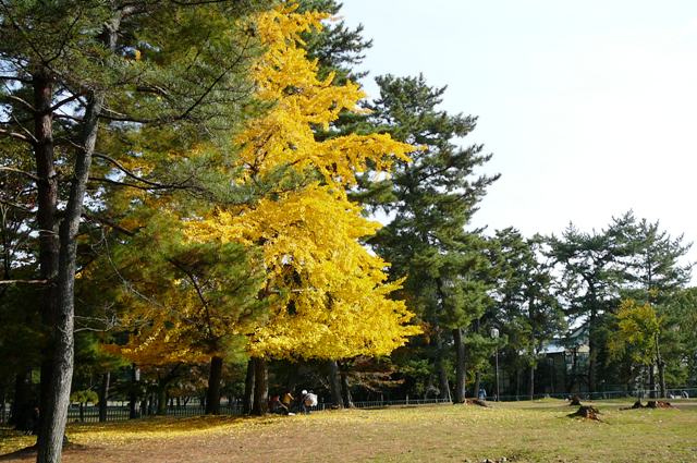 d0042474_23434030.jpg