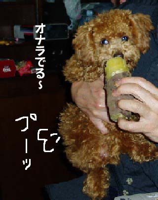f0061283_2156953.jpg