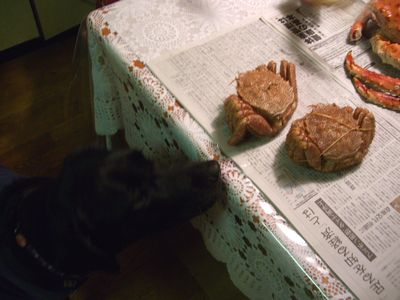 b0000885_22854.jpg