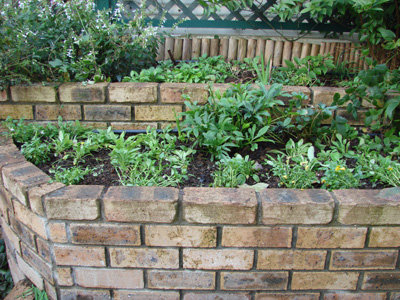 e0008586_0332327.jpg