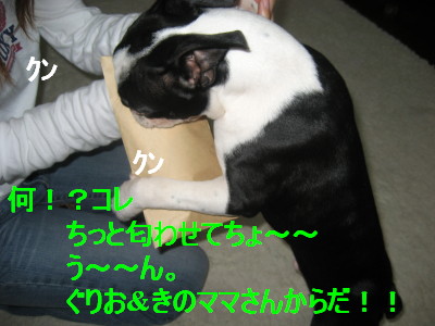 c0092787_12122095.jpg