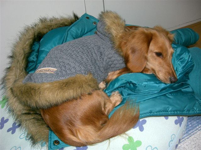 c0087001_16499.jpg