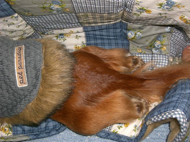 c0087001_195563.jpg