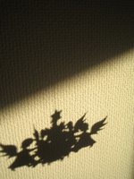 d0076603_2158434.jpg