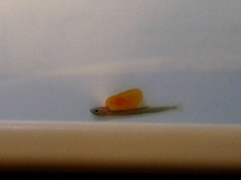 f0041606_2028879.jpg